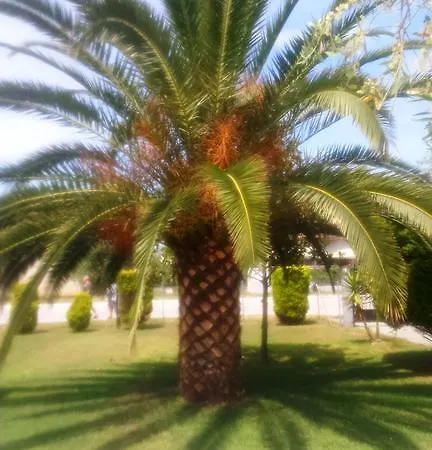 Evridiki *
