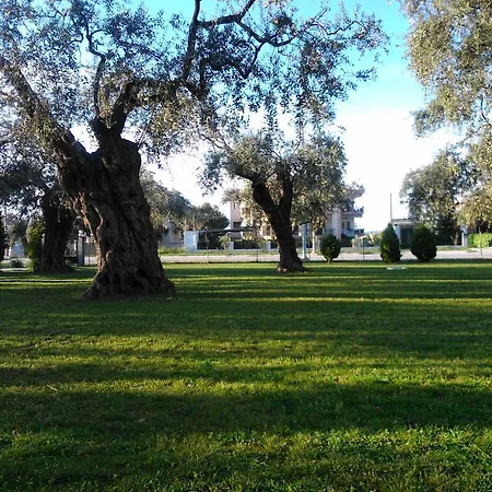 Evridiki