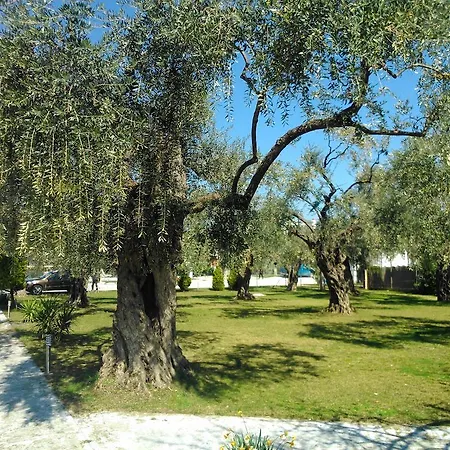 Evridiki